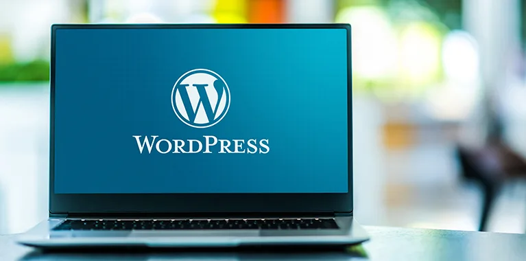 WordPress: com crear el teu propi web
