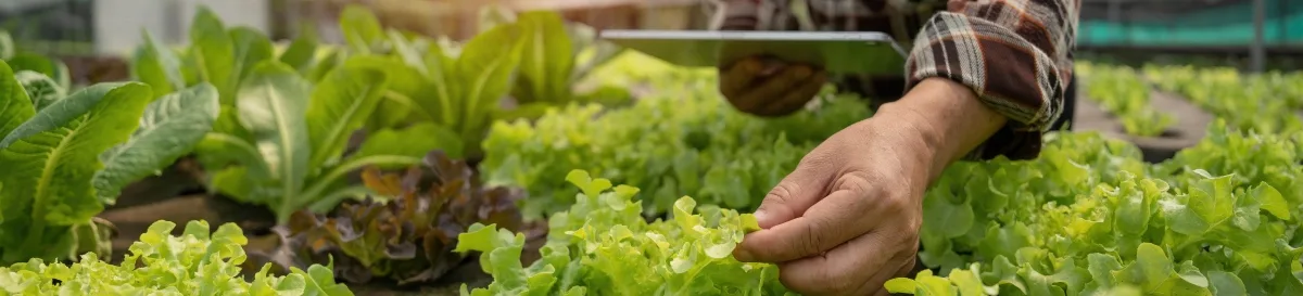 Promociona tus productos agroalimentarios en nuevos mercados con apoyo europeo