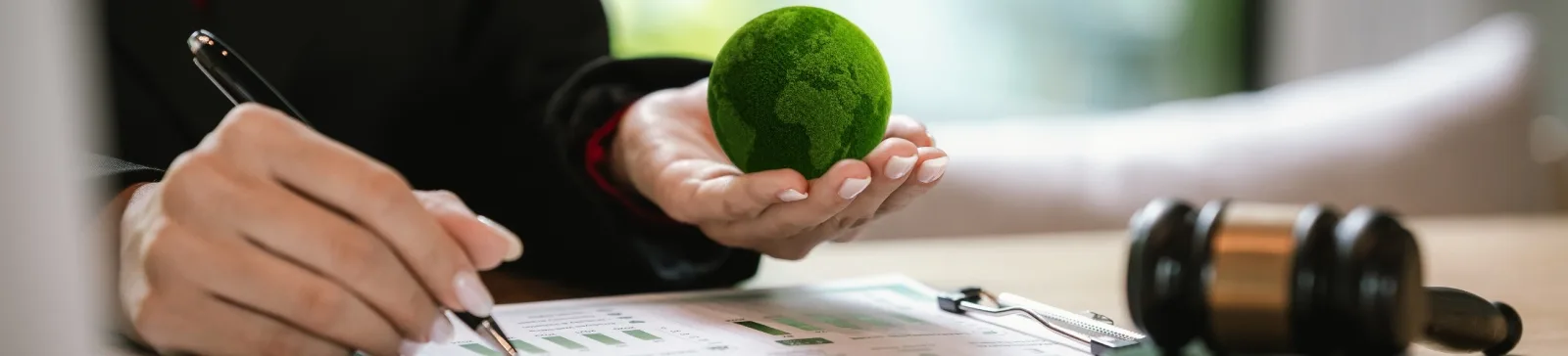 Sostenibilidad y reporting: entiende el nuevo marco regulatorio y aprovecha sus oportunidades